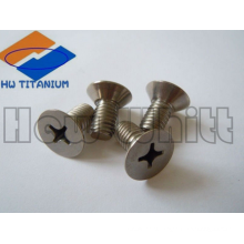 Gr5 titanium phillips screw